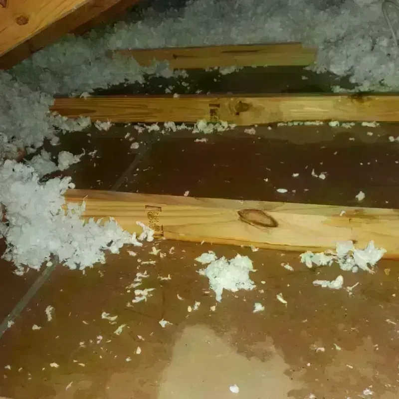 Attic Water Damage in Pontotoc County, OK